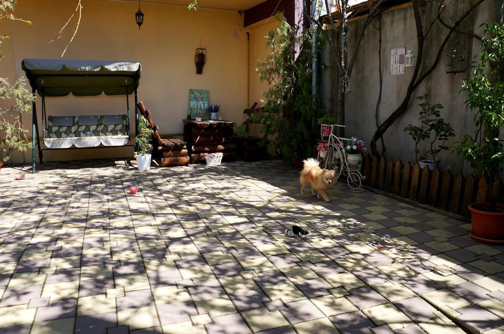 Collosal Apartment With Garden บูคาเรสต์ ภายนอก รูปภาพ