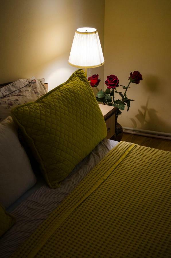 Collosal Apartment With Garden บูคาเรสต์ ภายนอก รูปภาพ
